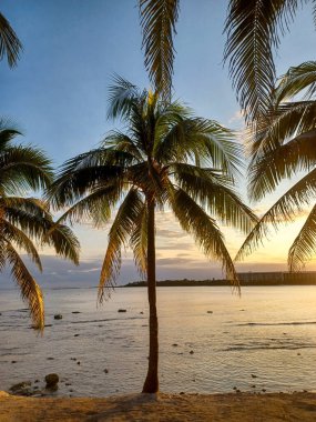 Playa del Carmen, Quintana Roo, Meksika - 20 Kasım 2024: Sonbahar sezonunda Barcelo Maya Oteli bölgesinde