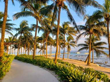 Playa del Carmen, Quintana Roo, Meksika - 20 Kasım 2024: Sonbahar sezonunda Barcelo Maya Oteli bölgesinde