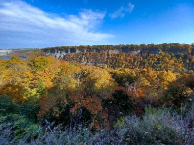 Neagara Şelalesi 'nin yanındaki Glen Yolu' nun ormanlık kısmına bak.