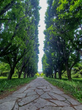 Niagara Şelalesi, On, Kanada - 4 Haziran 2024: Niagara Parks Botanik Bahçeleri manzarası
