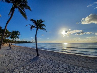 Quintana Roo, Meksika - 20 Kasım 2024 Playa del Car bölgesinde Playa del Carmen, Meksika