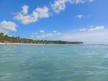 Quintana Roo, Meksika - 20 Kasım 2024 Playa del Car bölgesinde Playa del Carmen, Meksika