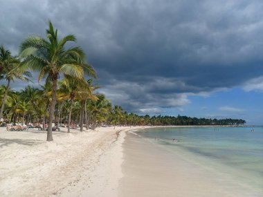 Quintana Roo, Meksika - 20 Kasım 2024 Playa del Car bölgesinde Playa del Carmen, Meksika
