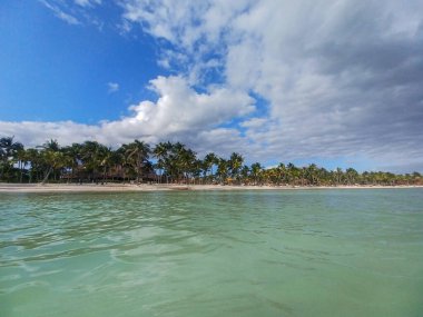 Quintana Roo, Meksika - 20 Kasım 2024 Playa del Car bölgesinde Playa del Carmen, Meksika