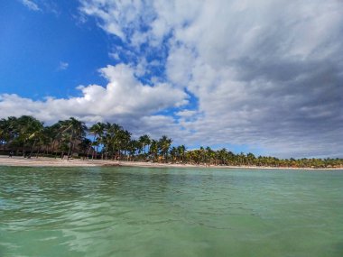 Quintana Roo, Meksika - 20 Kasım 2024 Playa del Car bölgesinde Playa del Carmen, Meksika