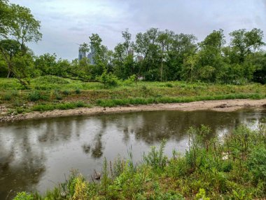 Yağmurlu bir günde küçük bir dere manzarası