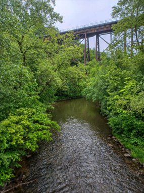 Yağmurlu bir günde küçük bir dere manzarası