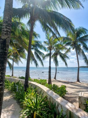 Playa del Carmen, Quintana Roo, Meksika - 20 Kasım 2024: Sonbahar sezonunda Barcelo Maya Oteli bölgesinde