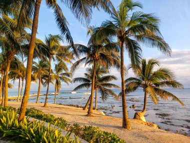 Playa del Carmen, Quintana Roo, Meksika - 20 Kasım 2024: Sonbahar sezonunda Barcelo Maya Oteli bölgesinde