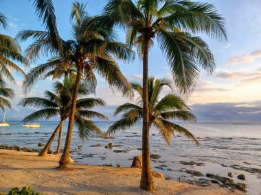 Playa del Carmen, Quintana Roo, Meksika - 20 Kasım 2024: Sonbahar sezonunda Barcelo Maya Oteli bölgesinde