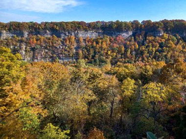 Neagara Şelalesi 'nin yanındaki Glen Yolu' nun ormanlık kısmına bak.