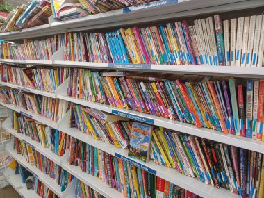 Toronto, On, Kanada - 27 Kasım 2024: Value Village ikinci el mağazasındaki kitap bölümüne bakın.