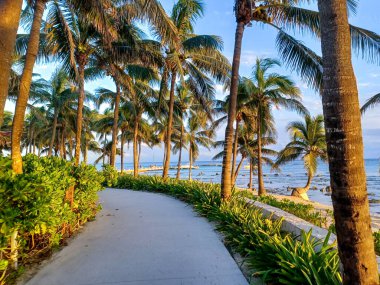 Playa del Carmen, Quintana Roo, Meksika - 20 Kasım 2024: Sonbahar sezonunda Barcelo Maya Oteli bölgesinde