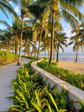 Playa del Carmen, Quintana Roo, Meksika - 20 Kasım 2024: Sonbahar sezonunda Barcelo Maya Oteli bölgesinde