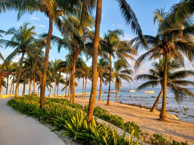 Playa del Carmen, Quintana Roo, Meksika - 20 Kasım 2024: Sonbahar sezonunda Barcelo Maya Oteli bölgesinde