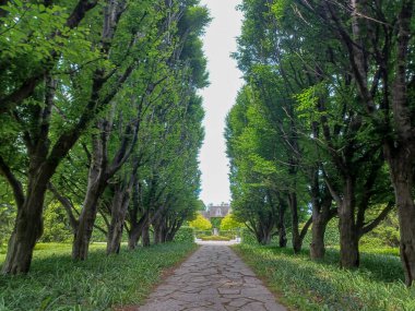 Niagara Falls, On, Canada  - June 4, 2024: Landscape view at the Niagara Parks Botanical Gardens clipart