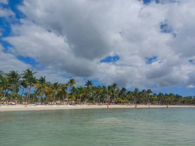 Quintana Roo, Meksika - 20 Kasım 2024 Playa del Car bölgesinde Playa del Carmen, Meksika