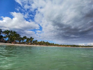 Quintana Roo, Meksika - 20 Kasım 2024 Playa del Car bölgesinde Playa del Carmen, Meksika