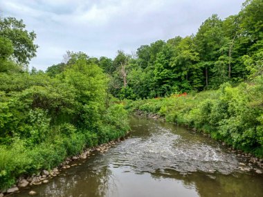 Yağmurlu bir günde küçük bir dere manzarası