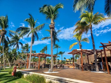 Playa del Carmen, Quintana Roo, Meksika - 20 Kasım 2024: Sonbahar sezonunda Barcelo Maya Oteli bölgesinde