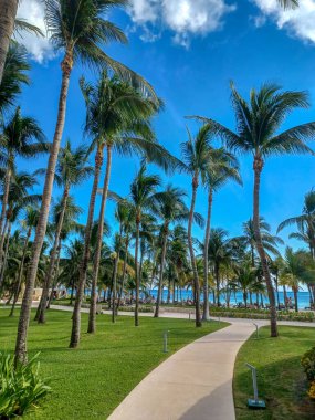 Playa del Carmen, Quintana Roo, Meksika - 20 Kasım 2024: Sonbahar sezonunda Barcelo Maya Oteli bölgesinde