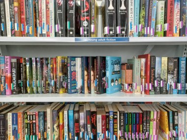 Toronto, On, Kanada - 27 Kasım 2024: Value Village ikinci el mağazasındaki kitap bölümüne bakın.