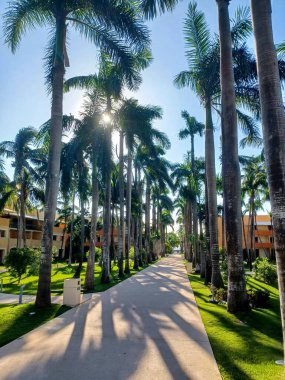 Playa del Carmen, Quintana Roo, Meksika - 20 Kasım 2024: Sonbahar sezonunda Barcelo Maya Oteli bölgesinde