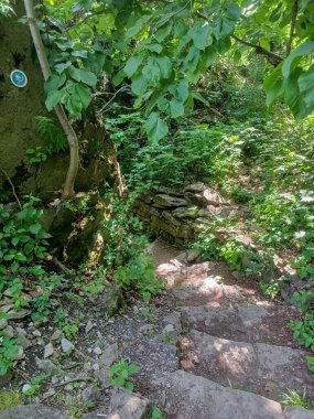 Niagara Şelalesi 'nin yanındaki Niagara Nehri' nin ormanı manzaralı.