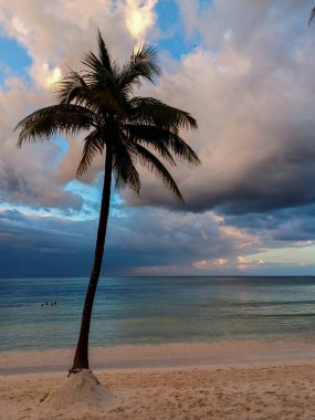 Quintana Roo, Meksika - 20 Kasım 2024 Playa del Car bölgesinde Playa del Carmen, Meksika