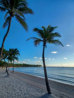 Quintana Roo, Meksika - 20 Kasım 2024 Playa del Car bölgesinde Playa del Carmen, Meksika
