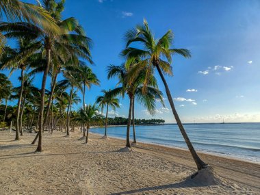 Quintana Roo, Meksika - 20 Kasım 2024 Playa del Car bölgesinde Playa del Carmen, Meksika