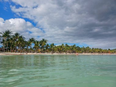 Quintana Roo, Meksika - 20 Kasım 2024 Playa del Car bölgesinde Playa del Carmen, Meksika