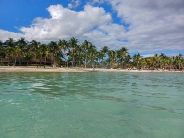 Quintana Roo, Meksika - 20 Kasım 2024 Playa del Car bölgesinde Playa del Carmen, Meksika