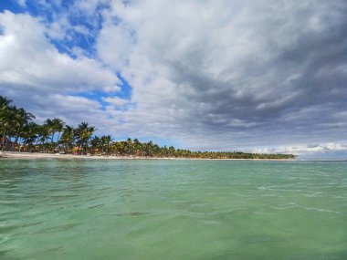 Quintana Roo, Meksika - 20 Kasım 2024 Playa del Car bölgesinde Playa del Carmen, Meksika