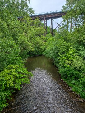 Yağmurlu bir günde küçük bir dere manzarası
