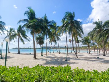 Playa del Carmen, Quintana Roo, Meksika - 20 Kasım 2024: Sonbahar sezonunda Barcelo Maya Oteli bölgesinde