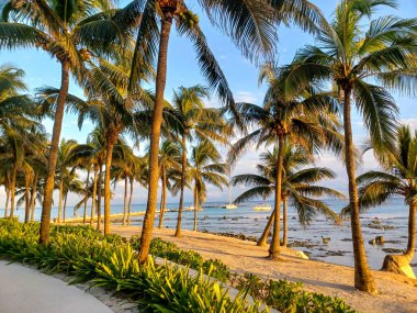 Playa del Carmen, Quintana Roo, Meksika - 20 Kasım 2024: Sonbahar sezonunda Barcelo Maya Oteli bölgesinde