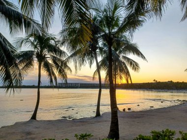 Playa del Carmen, Quintana Roo, Meksika - 20 Kasım 2024: Sonbahar sezonunda Barcelo Maya Oteli bölgesinde