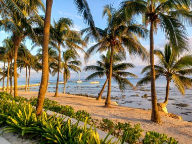 Playa del Carmen, Quintana Roo, Meksika - 20 Kasım 2024: Sonbahar sezonunda Barcelo Maya Oteli bölgesinde