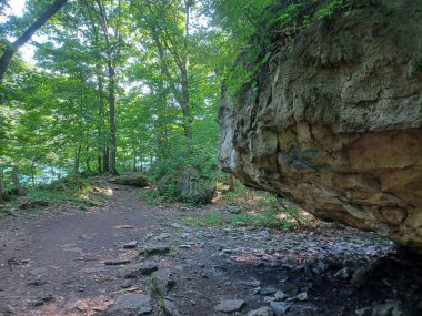 Niagara Şelalesi 'nin yanındaki Niagara Nehri' nin ormanı manzaralı.