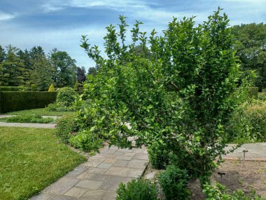 Niagara Şelalesi, On, Kanada - 4 Haziran 2024: Niagara Parks Botanik Bahçeleri manzarası