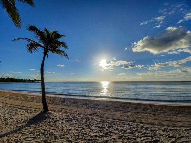 Quintana Roo, Meksika - 20 Kasım 2024 Playa del Car bölgesinde Playa del Carmen, Meksika
