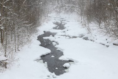 Küçük bir dere karlı bir ormanın içinden akar, karla kaplı kayalar ve kıyılar huzurlu bir kış manzarası yaratır..