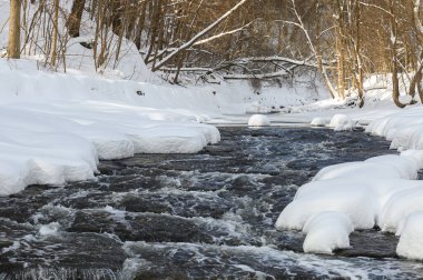Küçük bir dere karlı bir ormanın içinden akar, karla kaplı kayalar ve kıyılar huzurlu bir kış manzarası yaratır..