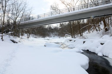 Küçük bir dere karlı bir ormanın içinden akar, karla kaplı kayalar ve kıyılar huzurlu bir kış manzarası yaratır..