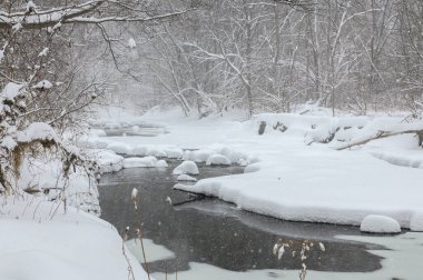 Küçük bir dere karlı bir ormanın içinden akar, karla kaplı kayalar ve kıyılar huzurlu bir kış manzarası yaratır..