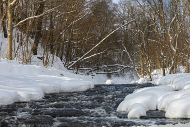 Küçük bir dere karlı bir ormanın içinden akar, karla kaplı kayalar ve kıyılar huzurlu bir kış manzarası yaratır..