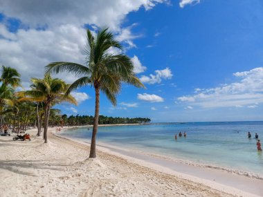Quintana Roo, Meksika - 20 Kasım 2024 Playa del Car bölgesinde Playa del Carmen, Meksika