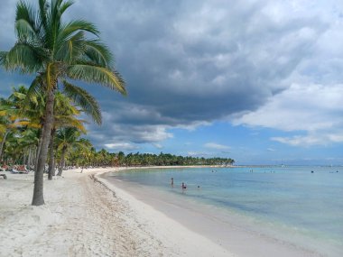 Quintana Roo, Meksika - 20 Kasım 2024 Playa del Car bölgesinde Playa del Carmen, Meksika