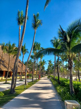 Playa del Carmen, Quintana Roo, Meksika - 20 Kasım 2024: Sonbahar sezonunda Barcelo Maya Oteli bölgesinde